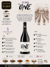 The One Corbieres Rocbrune 2020