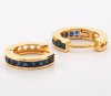 9K Earring Gold
