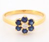 9K Ring Gold