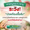 H. pylori Antigen Rapid Test Kit (Home use)