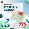 Antioxidant Water Gel Moisture Bomb