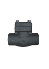Piston Check Valve Class#800, #CPF800