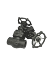 Gate Valve Class#800, #GAF800