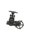Globe Valve Class#800, #GLF800