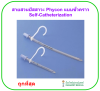 Phycon Selfcath สายสวนปัสสาวะแบบชั่วคราว สามารถใช้ซ้ำได้
