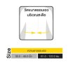 Futuro Comfort Compression Back Support ฟูทูโร อุปกรณ์พยุงหลัง รุ่นปรับกระชับได้ (46819)