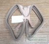 Clavicle Support
