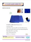 เบาะเจลรองนั่ง Ichiban 44GS-012