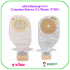 แป้นพร้อมถุงอุจจาระ Coloplast Alterna (12-75mm) (17501) (1 ชิ้น)