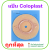 แป้น Coloplast Alterna Base Plate 50 mm (1972) (1 ชิ้น)