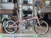 Dahon Boardwalk D8 2026
