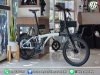 JAVA Neo 20"