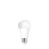 LED A60 12W 3000K E27