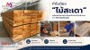 ทำไมต้อง "ไม้สะเดา" ? เคล็ดลับโครงสร้างโซฟาที่ปลวกไม่กล้ากวน จาก MJ Smarttrade ทำไมต้อง "ไม้สะเดา" ? เคล็ดลับโครงสร้างโซฟาที่ปลวกไม่กล้ากวน จาก MJ Smarttrade