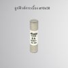 ลูกฟิวส์กระเบื้อง รุ่น Ø10x38 AKELA / BOGENFUSE/ MERLOX (2Pcs.)
