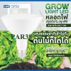 หลอดไฟปลูกพืช GLOW LIGHT PAR38 100-240VAC 15W E27 IP44 L&E