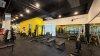 Fitness plus