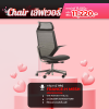 chair เลิฟเวอร์ 11