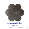 ดาวกุหลาบเทา