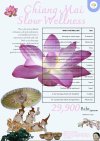 7D6N Chiang Mai Slow Wellness