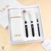 Dior Backstage Brushes Set