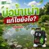 บ่อน้ำเน่า น้ำเขียวและมีกลิ่นเหม็นจากของเสียสะสม