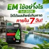 ขวดหัวเชื้อ EM วางข้างต้นไม้เขียวชอุ่ม แสดงวิธีใช้ EM ให้ได้ผลในปี 2026 ขวดหัวเชื้อ EM วางข้างต้นไม้เขียวชอุ่ม แสดงวิธีใช้ EM ให้ได้ผลในปี 2026