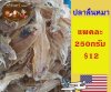 ปลาลิ้นหมา