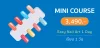 Mini Course
