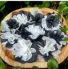 เหรียญโปรยทานห่อกระดาษสา สีขาวดำ 100 เหรียญ