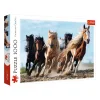 TREFL 1000 Piece Jigsaw Puzzle - Galloping horses จิ๊กซอว์ 1000 ชิ้น