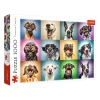 TREFL 1000 Piece Jigsaw Puzzle - Funny dog portraits จิ๊กซอว์ 1000 ชิ้น