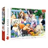 TREFL 1000 Piece Jigsaw Puzzle - Dogs in the garden จิ๊กซอว์ 1000 ชิ้น