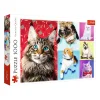 TREFL 1000 Piece Jigsaw Puzzle - Happy cats จิ๊กซอว์ 1000 ชิ้น