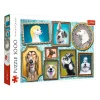 TREFL 1000 Piece Jigsaw Puzzle - Doggies Gallery จิ๊กซอว์ 1000 ชิ้น