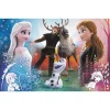 TREFL 300 Piece Jigsaw Puzzle - Magic time / Frozen 2 จิ๊กซอว์เด็ก 8 ปี+