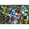 TREFL 300 Piece Jigsaw Puzzle - Favorite dinosaurs / Jurassic จิ๊กซอว์เด็ก 8 ปี+