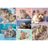 TREFL 100 Piece Jigsaw Puzzle - In the cat world จิ๊กซอว์เด็ก 5 ปี+