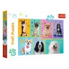 TREFL 100 Piece Jigsaw Puzzle - In the world of dogs จิ๊กซอว์เด็ก 5 ปี+