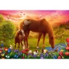 TREFL 500 Piece Jigsaw Puzzle - Horses in the Meadow จิ๊กซอว์ 500 ชิ้น
