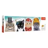 TREFL 500 Panorama Piece Jigsaw Puzzle - Fluffy team  จิ๊กซอว์ 500 ชิ้น