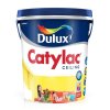 Dulux Catylac Ceiling
