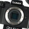 Lumix G100D