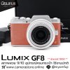 Lumix GF8