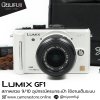 Lumix GF1