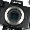 Lumix G100D