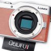 Lumix GF9