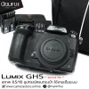 Lumix GH5