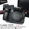 Lumix GH4