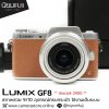 Lumix GF8